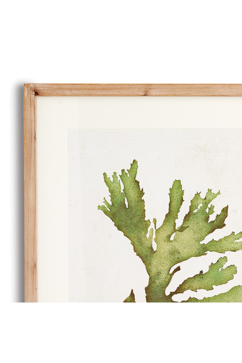 Kelp Prints, Set Of 6, Alternate, color, Green