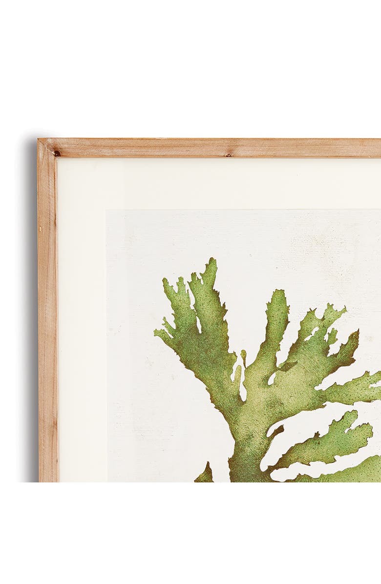 Napa Home & Garden Kelp Prints, Set Of 6, Alternate, color, Green