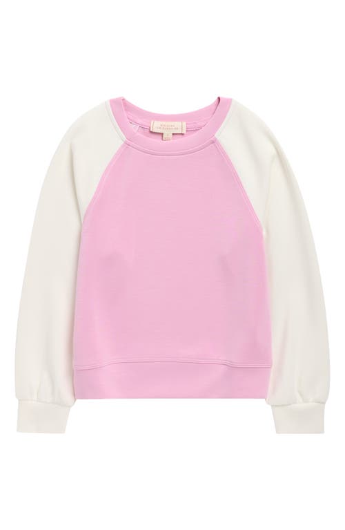 Walking On Sunshine Kids' Cloud Luxe Colorblock Sweatshirt In Animal Print