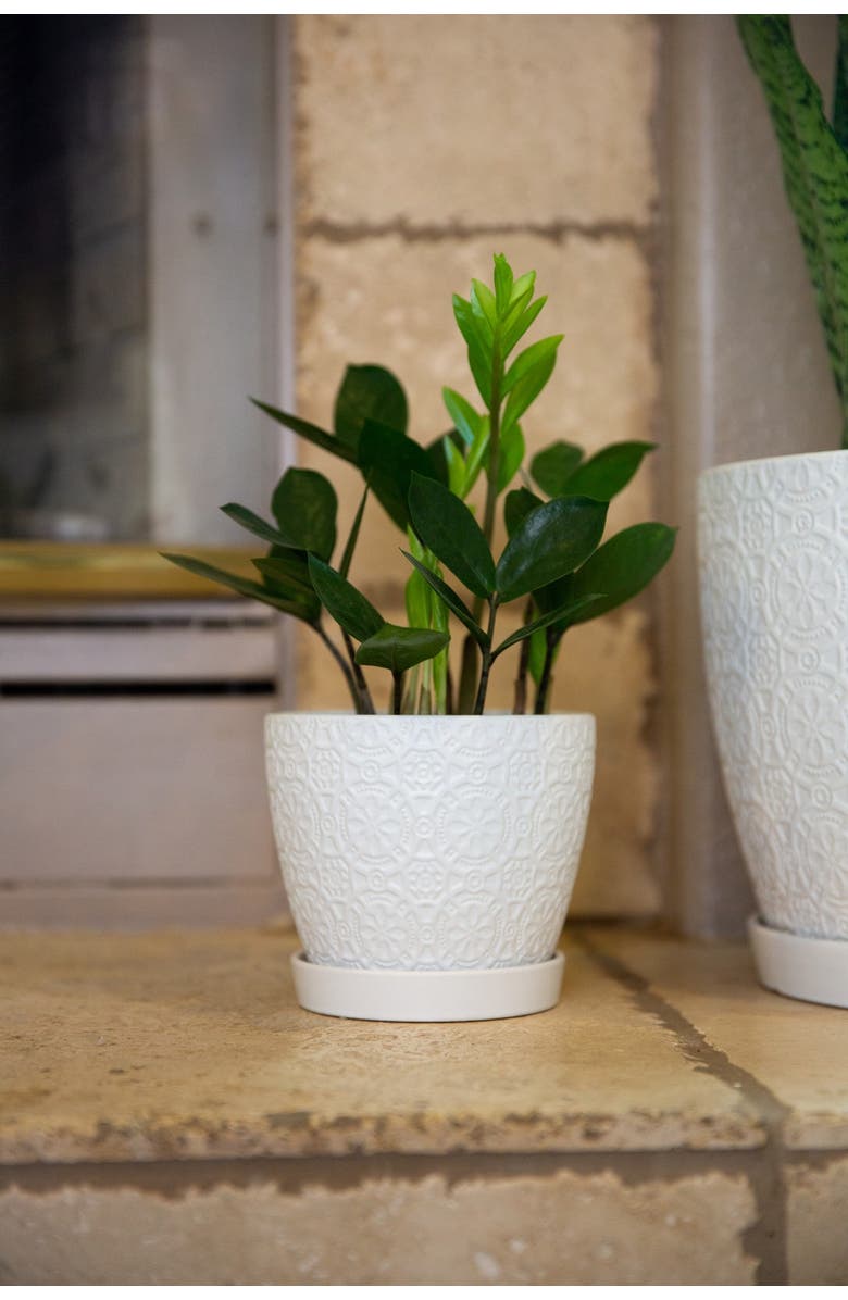 FLORA BUNDA Matte White 5.75-Inch Cathedral Ceramic Saucer Planter, Alternate, color, Matte White