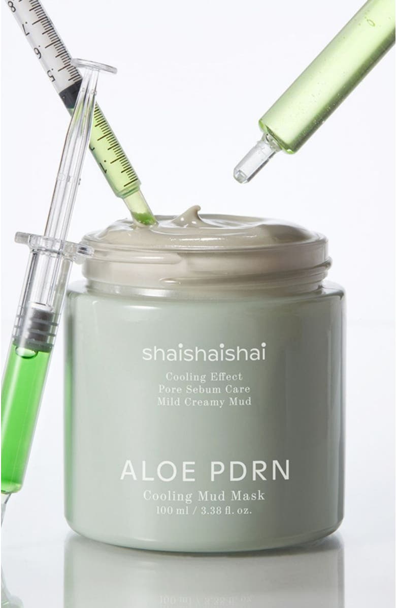 shaishaishaishai shaishaishai Aloe PDRN Cooling Mud Mask, Alternate, color, NO COLOR