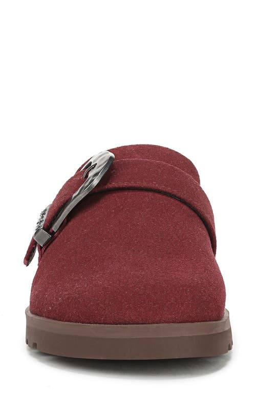 Blowfish Malibu Sienna Buckle Clog