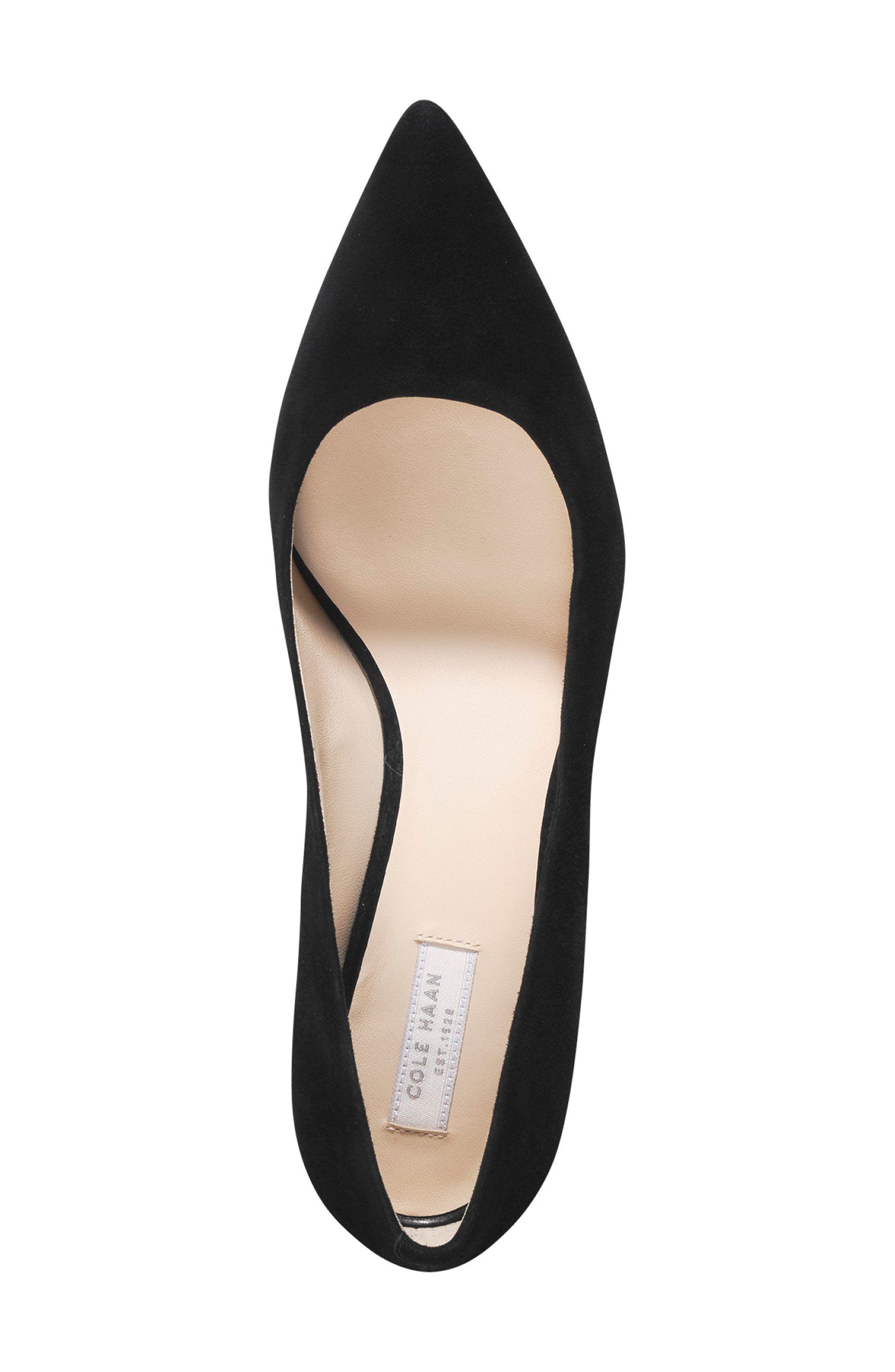 Cole Haan Vesta Pointed Toe Pump, Alternate, color, 