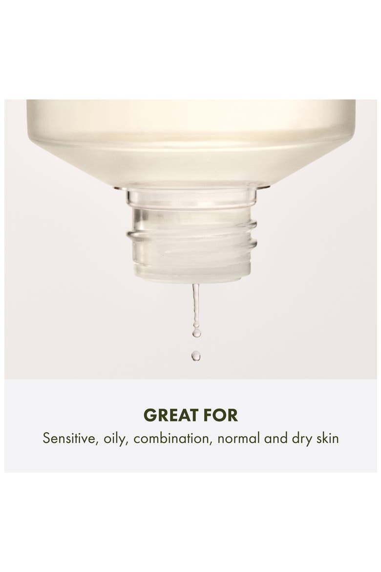 Checks and Balances Daily Exfoliating Toner, Alternate, color, NO COLOR