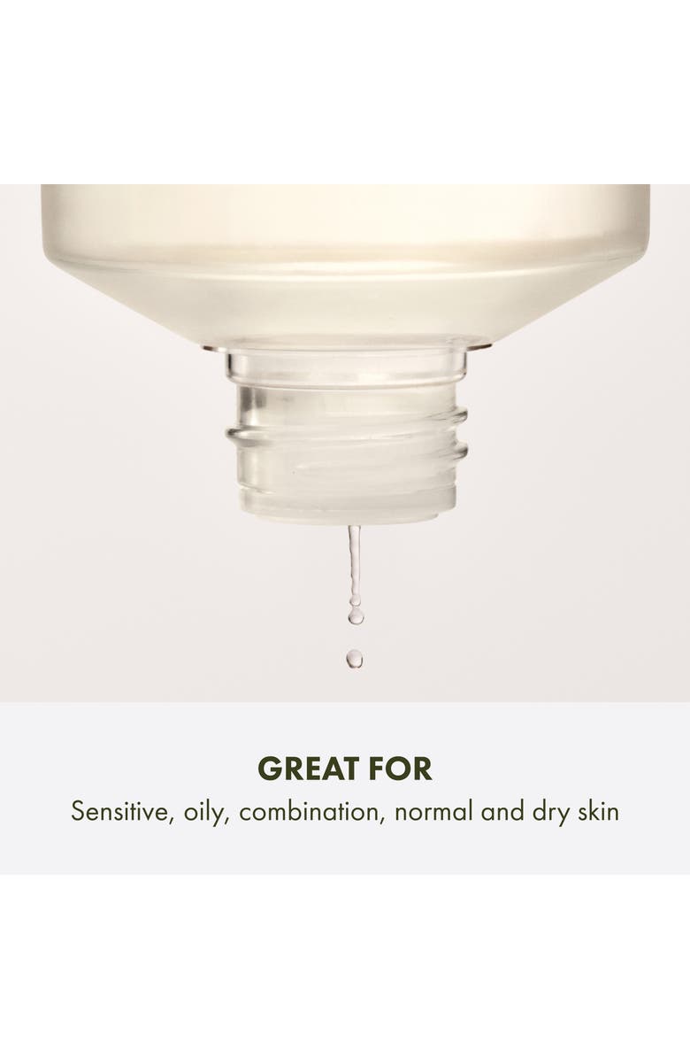 Origins Checks and Balances Daily Exfoliating Toner, Alternate, color, 