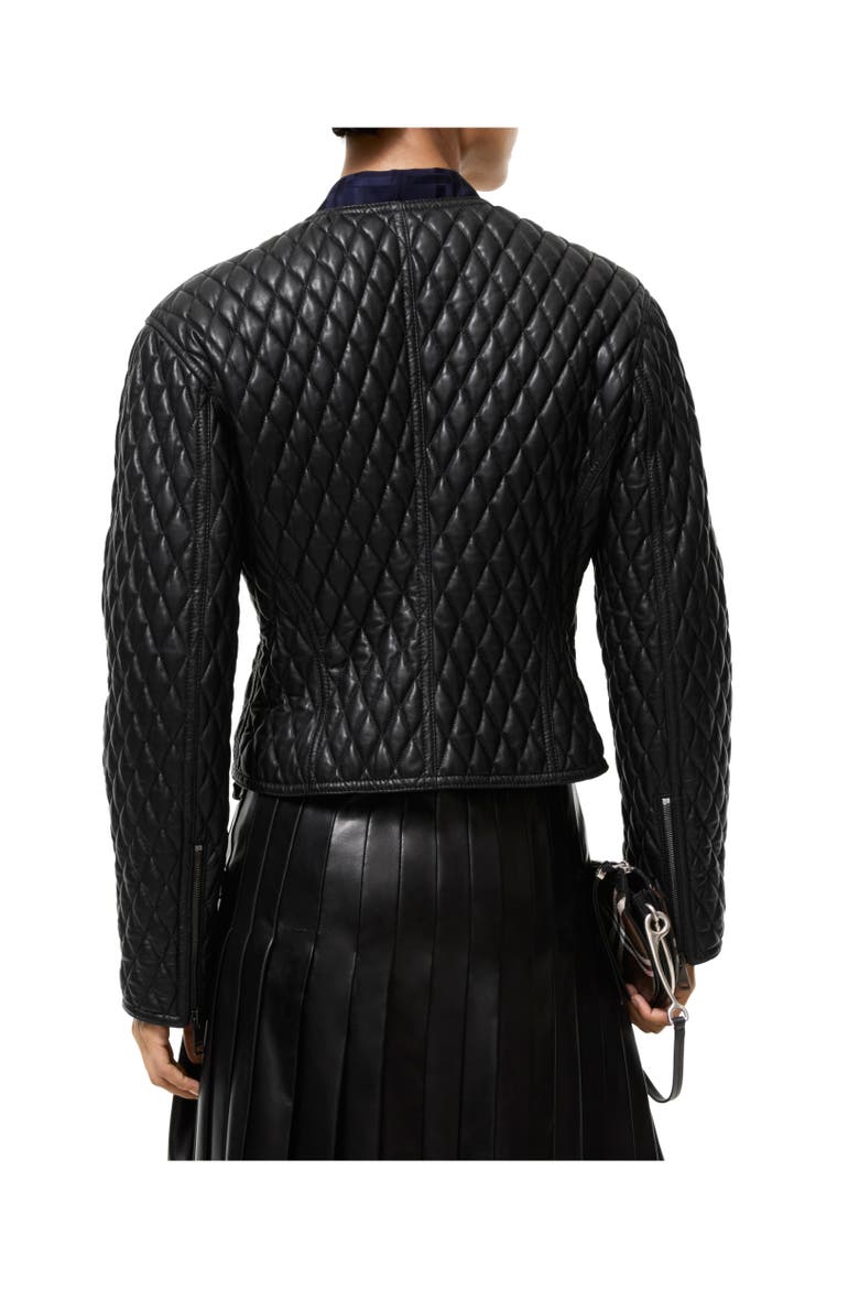 Cropped Leather Laverley Jacket, Alternate, color, Black