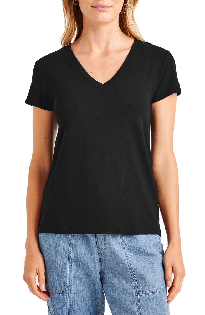 Splendid Kate Slub V-Neck T-Shirt, Main, color,