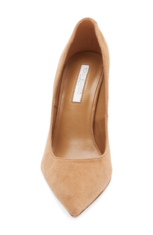Tony Bianco Anja Pointed Toe Pump In Brown