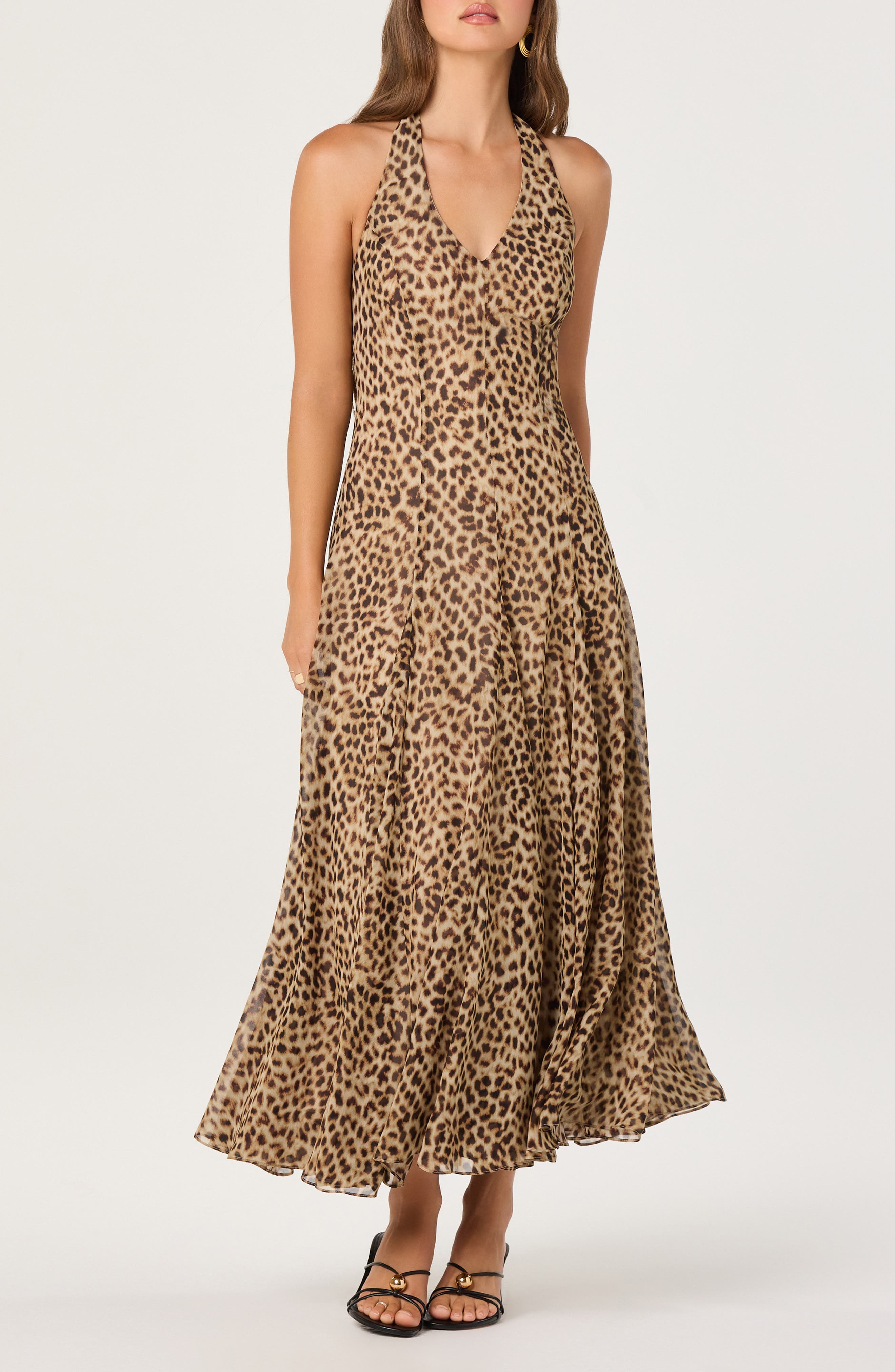 selected CHEETAH