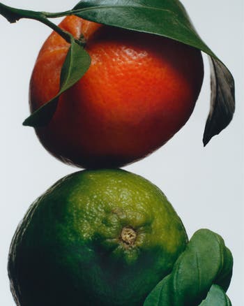 Lime Basil & Mandarin Diffusers Duo $224 Value