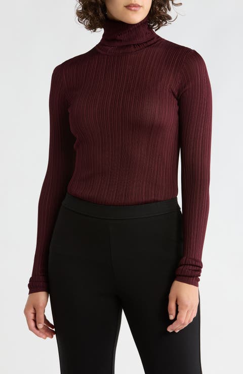 Semisheer Turtleneck Sweater