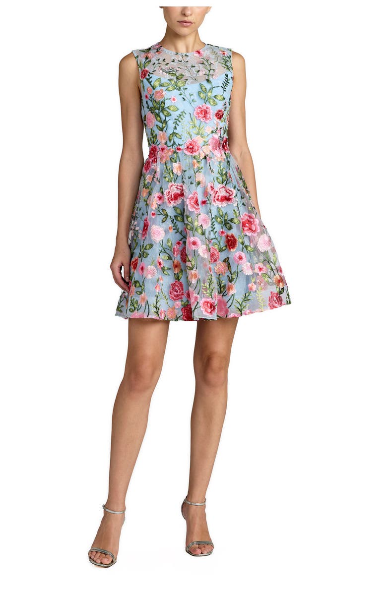 Mac Duggal Floral Embroidered Sleeveless A-Line Mini Dress, Main, color, Powder Blue Multi