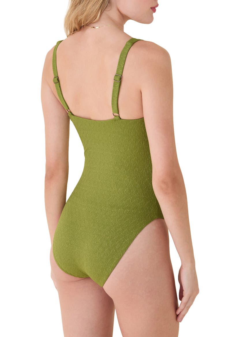 The Devon Long Torso One-Piece Swimsuit, Alternate, color, CACTUS