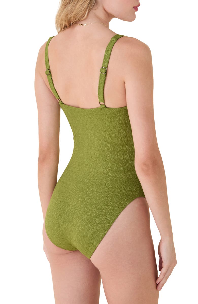 Andie The Devon Long Torso One-Piece Swimsuit, Alternate, color, Cactus