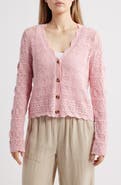beachlunchlounge Tamia Pointelle Knit Cardigan