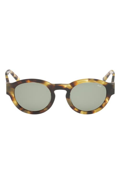 ABERCROMBIE & FITCH 49mm Round Sunglasses in Havana /Green Lens 