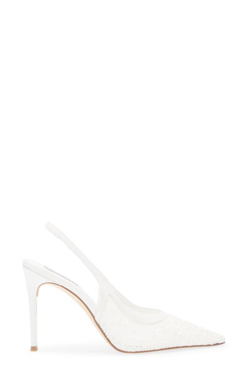 STEVE MADDEN STEVE MADDEN REYES POINTED TOE SLINGBACK PUMP
