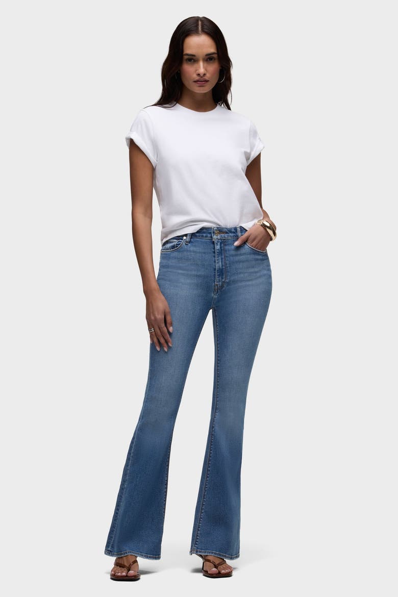 Holly Flare, Main, color, GLAD