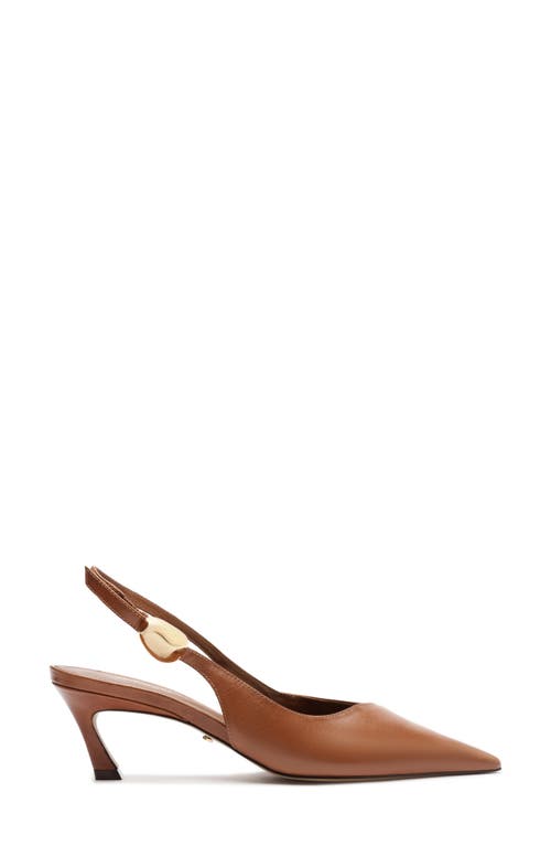 Arezzo Farrah Slingback Pointed Toe Pump In Brown