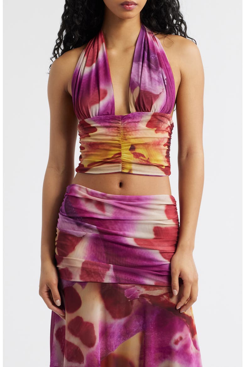 Festa Print Plunge Halter Neck Crop Top, Main, color, BLOOM