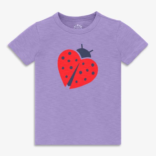 Primary Kids Ladybug Tee In Purple