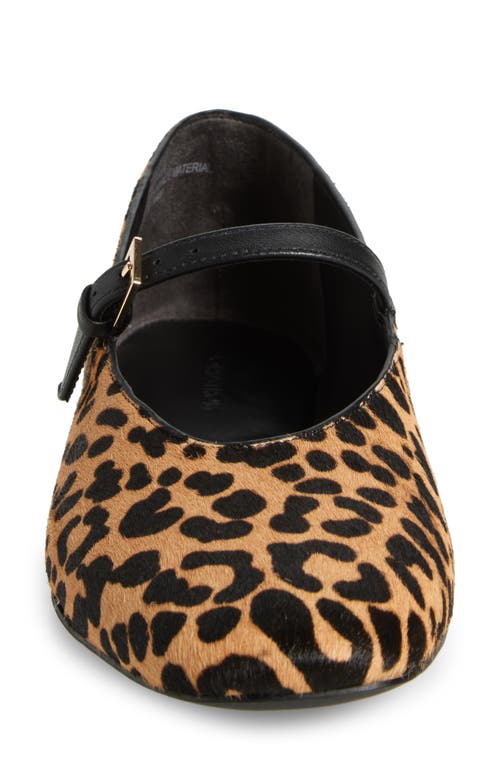 Nordstrom Maraise Ballet Flat In Brown