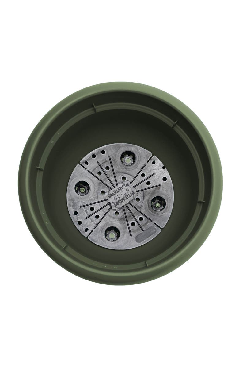 Bloem 12 Inch Ariana Pot Planter,  Living Green, Alternate, color, Green