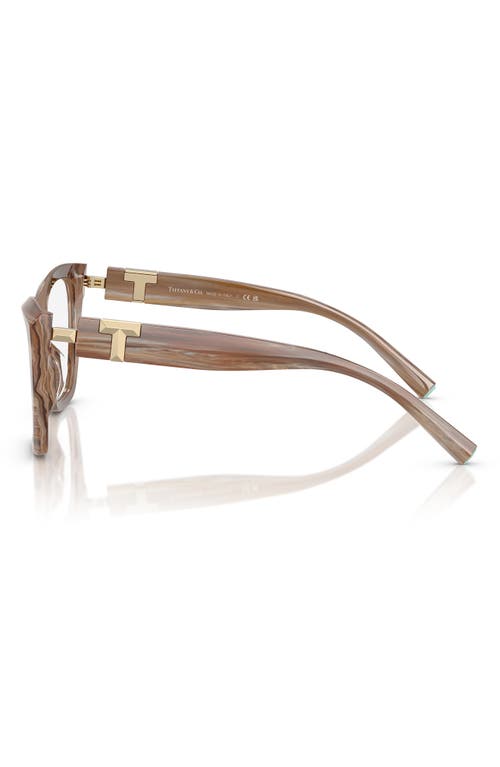 Tiffany & Co . 54mm Cat Eye Optical Glasses In Brown