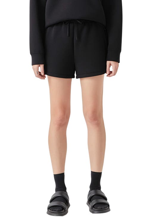 Tie Waist Scuba Knit Shorts
