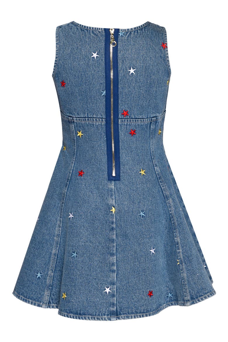 Kids' Embroidered Fit & Flare Dress, Alternate, color, BLUE MULTI