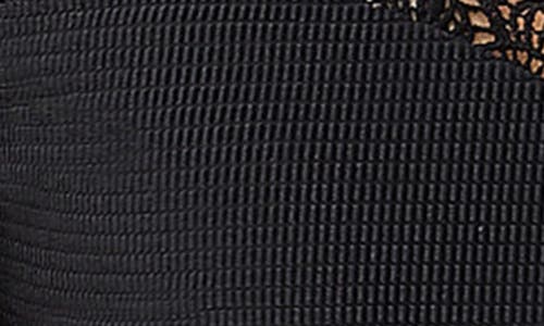 Boamar Bondy Lace Trim Swim Top In Black