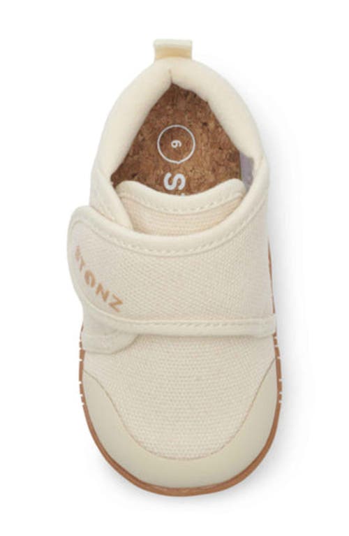 Stonz Cruiser Sneaker In Oatmeal