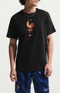 Nike FFF Crest Cotton Graphic T-Shirt