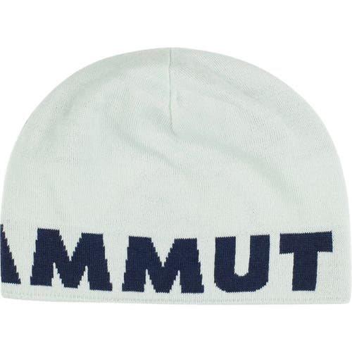 Mammut Logo Beanie In Gray