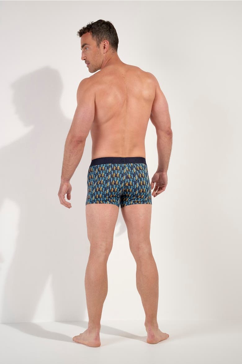 Westgate Boxer Briefs HO1, Alternate, color, Blue Print