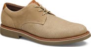 Johnston & Murphy Tyson Perforated Plain Toe Derby