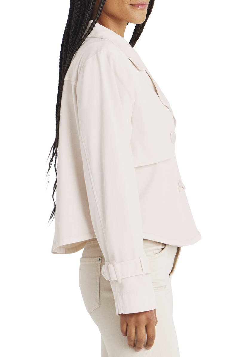 Splendid Portia Double Breasted Jacket, Alternate, color, 