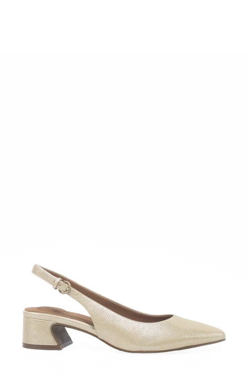 Gentle Souls Georgia Slingback Pointed Toe Pump In Gold