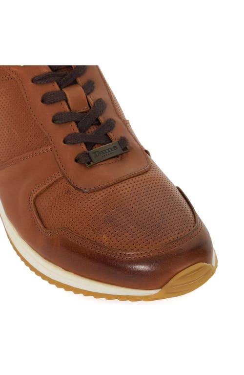 Dune London Trilogy Sneaker In Tan