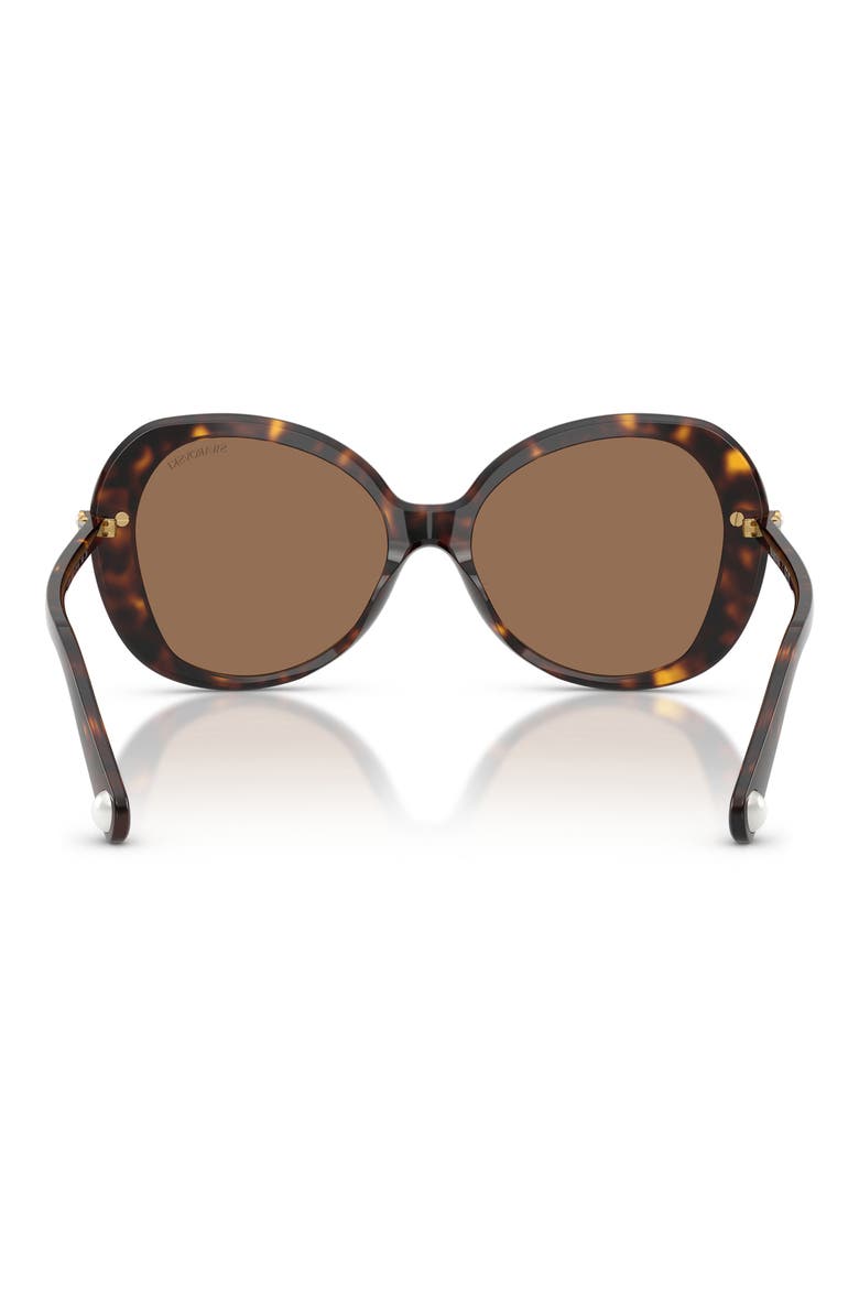 55mm Butterfly Sunglasses, Alternate, color, HAVANA / DARK BROWN