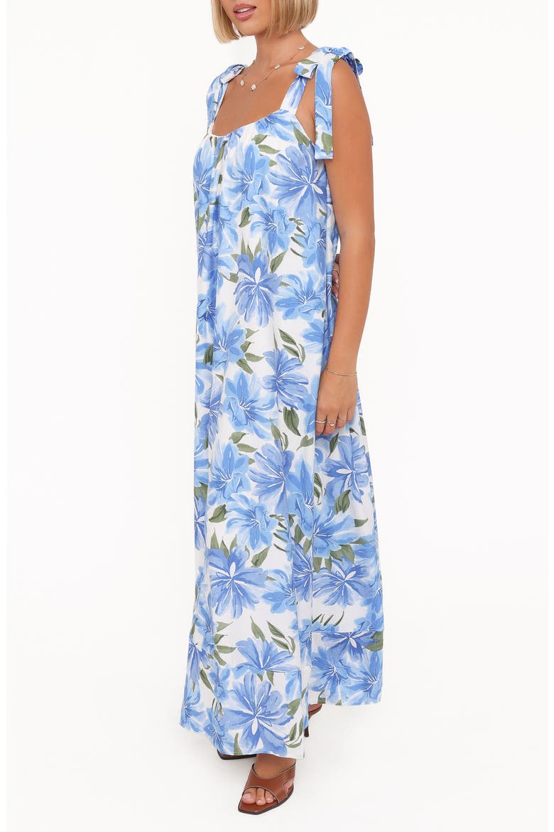 Amber Floral Print Maxi Dress, Alternate, color, BLUE FLORAL