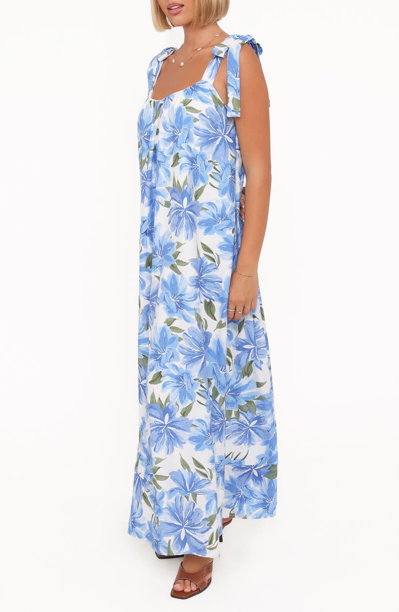 Petal & Pup Amber Floral Print Maxi Dress, Alternate, color, Blue Floral