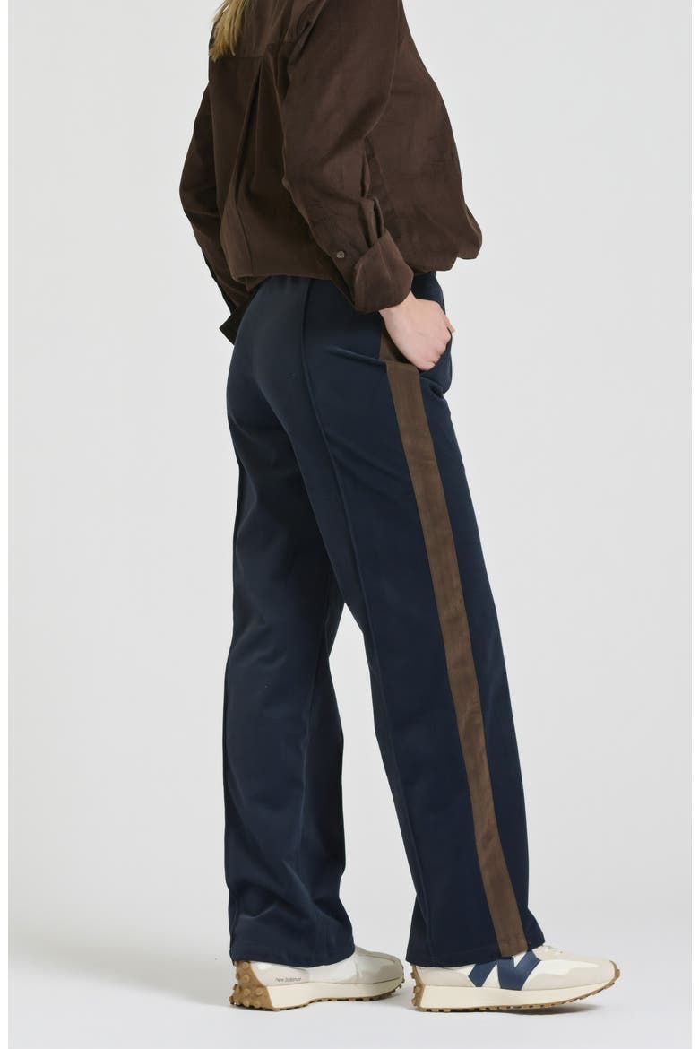 Lucille Velvet Track Pants, Alternate, color, FRENCH NAVY/ CHOCOLATE STRIPE