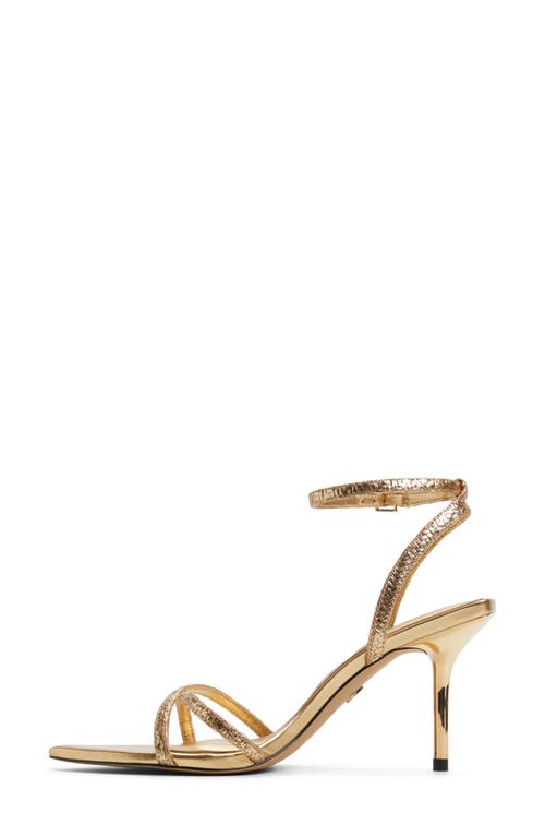 Aldo Manaelden In Gold
