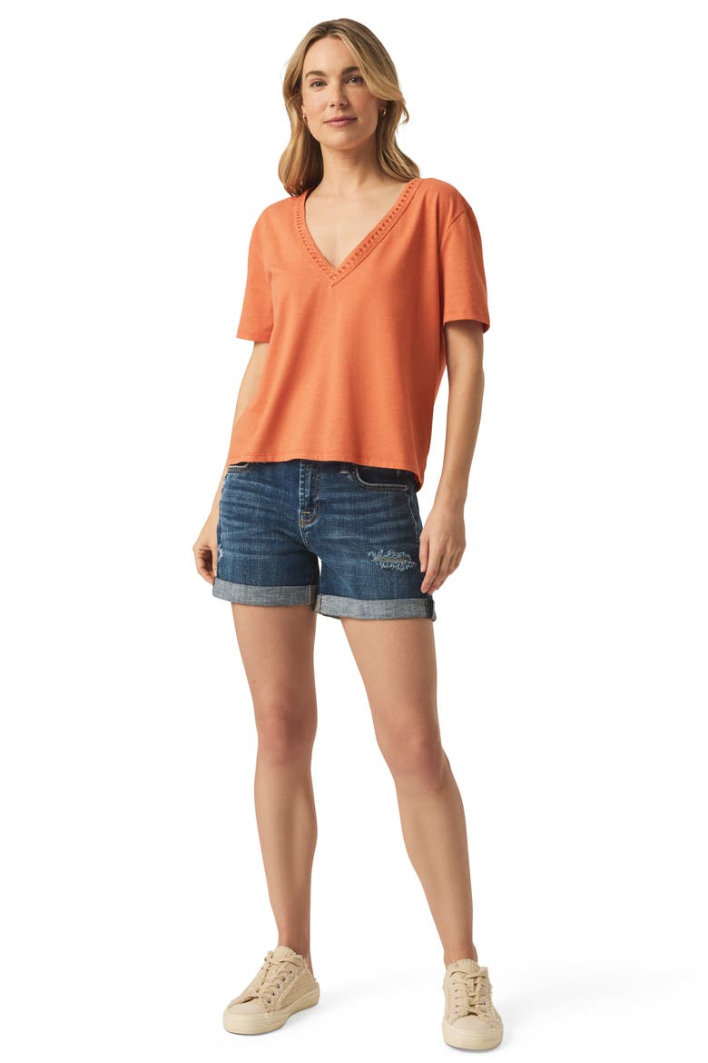 Dawn V-Neck T-Shirt, Alternate, color, ORANGE TIGER