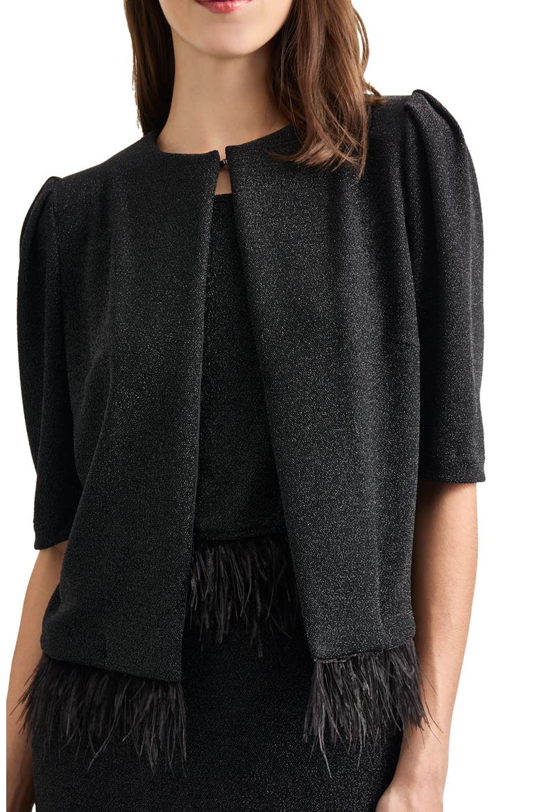 Sparkle Feather Trim Jacket, Alternate, color, BLACK