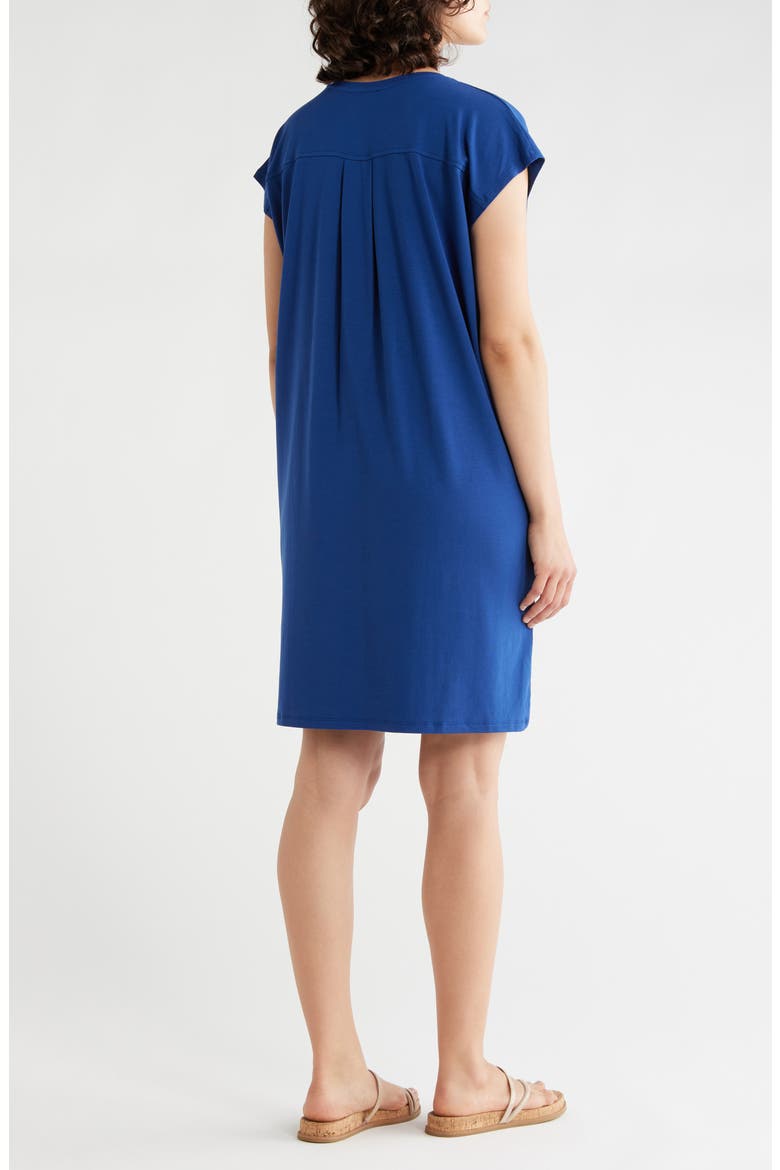 Crewneck Boxy Dress, Alternate, color, DEEP DIVE
