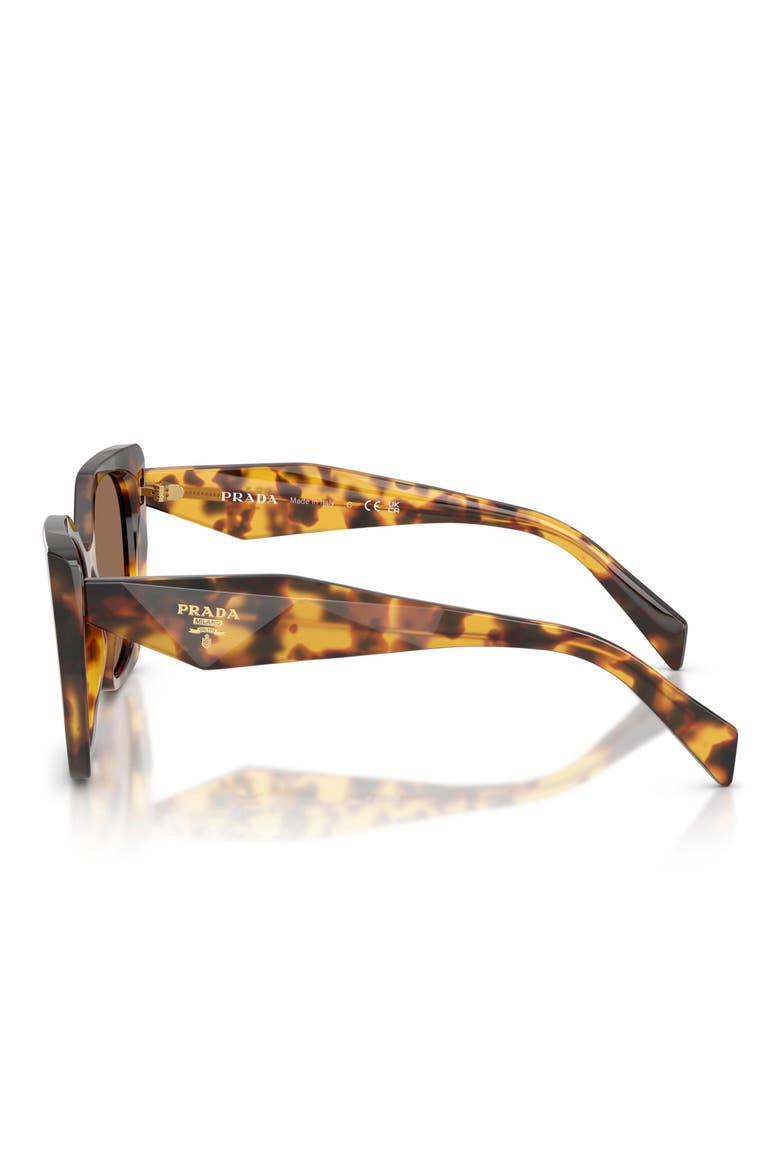 55mm Pillow Sunglasses, Alternate, color, HONEY TORTOISE / DARK BROWN