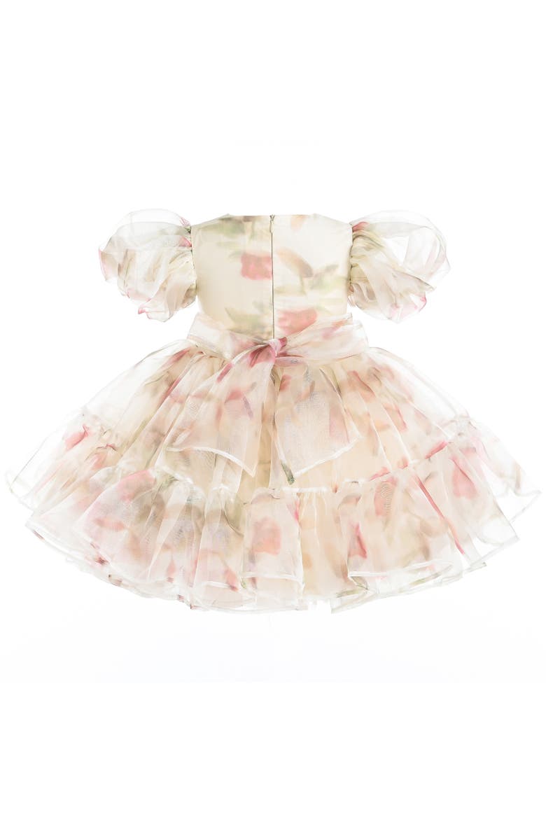Elanora Floral Organza Dress, Alternate, color, Cream