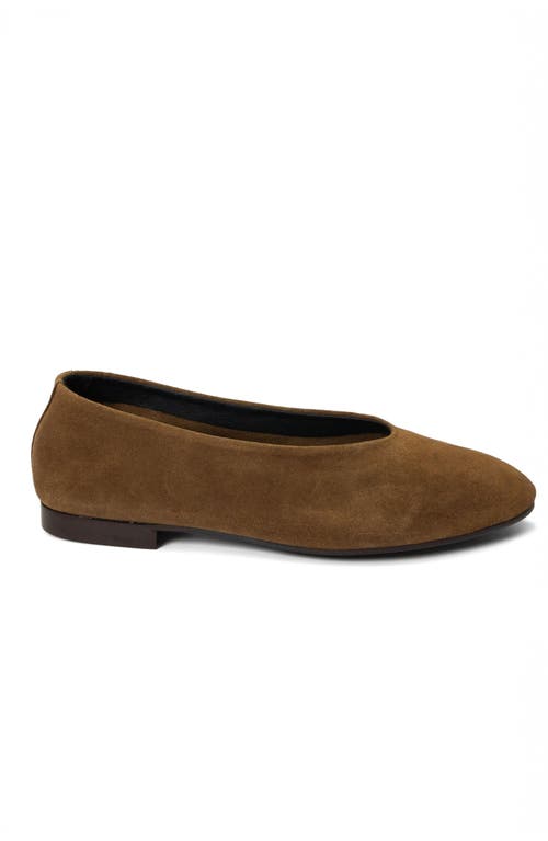 Menina Step Lucrecia Suede Ballet Flat In Brown